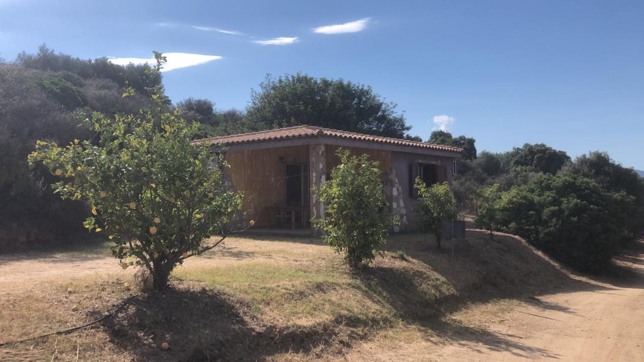 Hostal Is Bisus Castiadas Exterior foto