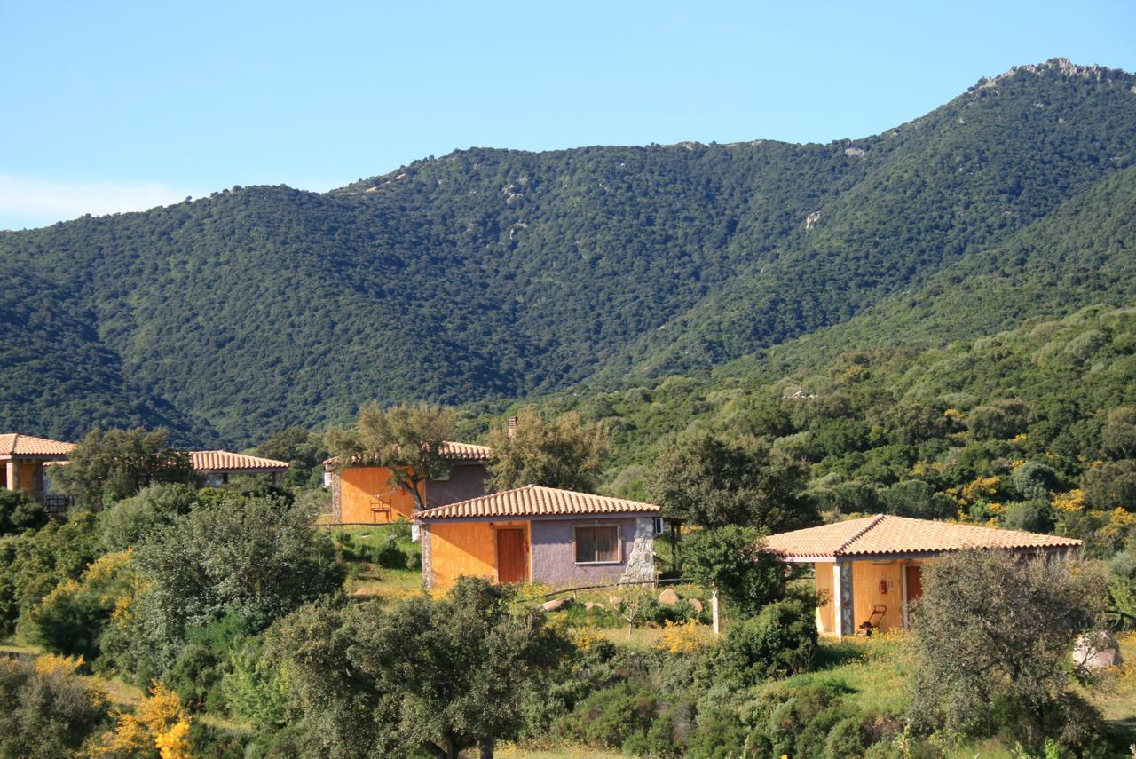 Hostal Is Bisus Castiadas Exterior foto
